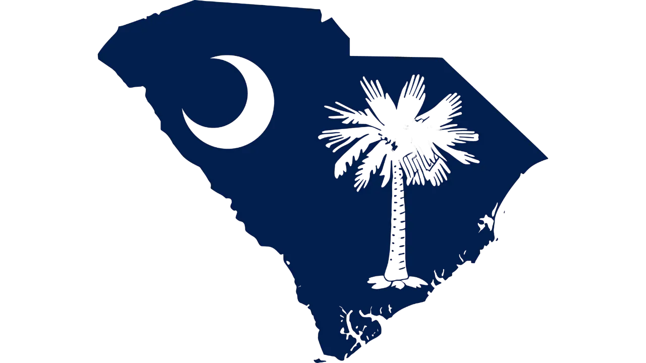 Service area for Kickin Ash Chimney Pros in South Carolina