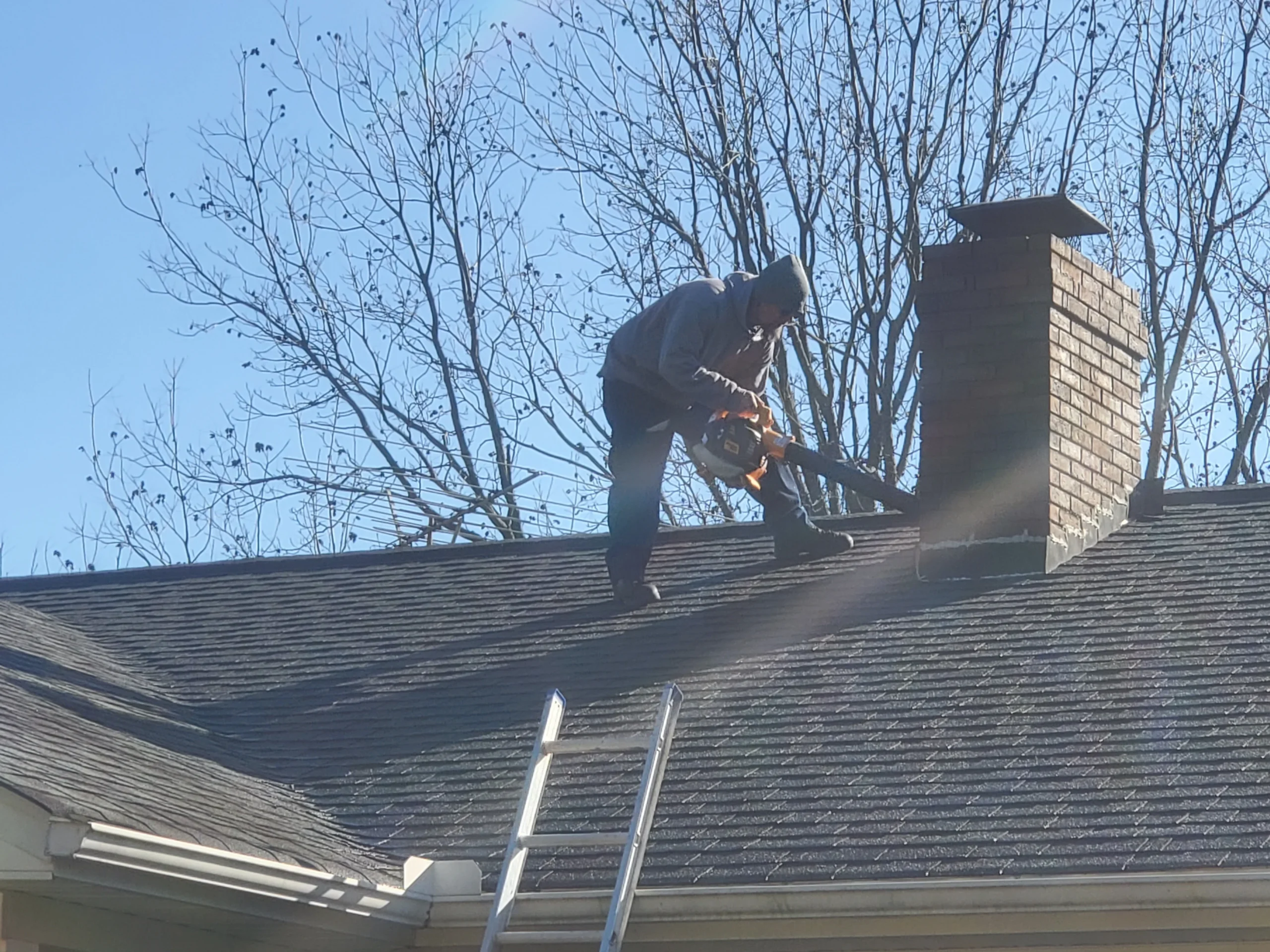Level 1 chimney inspection with photos