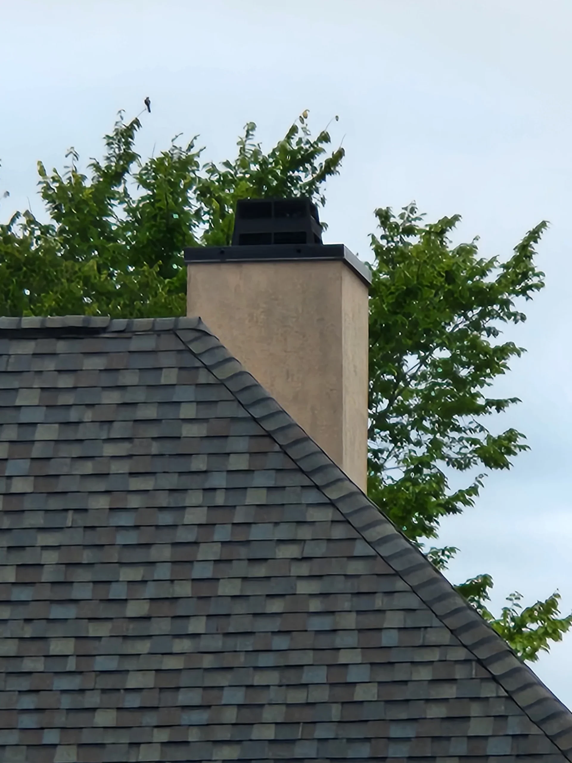 Clean chimney sweeping with drop cloths and professional vacuums